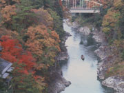 kyou9.jpg