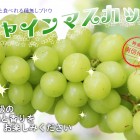 平成29年度は終了いたしました一房狩り 900円