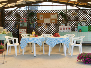 1-320IMG_2729.jpg