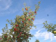 2IMG_3289.jpg