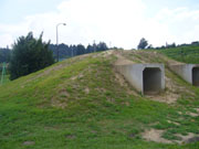 53.jpg