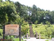 IMG_7327-2.jpg