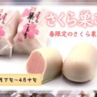 季節限定巣ごもり
さくら巣ごもり (2月下旬~4月中旬)