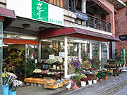 2-IMG_5232.jpg