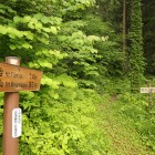 南沢山への登山口園内に2ヶ所あります。