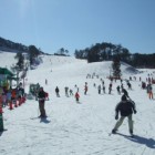 ゲレンデは全部で4コース。レベル別に分かれた4つのコースで楽しむことができます。